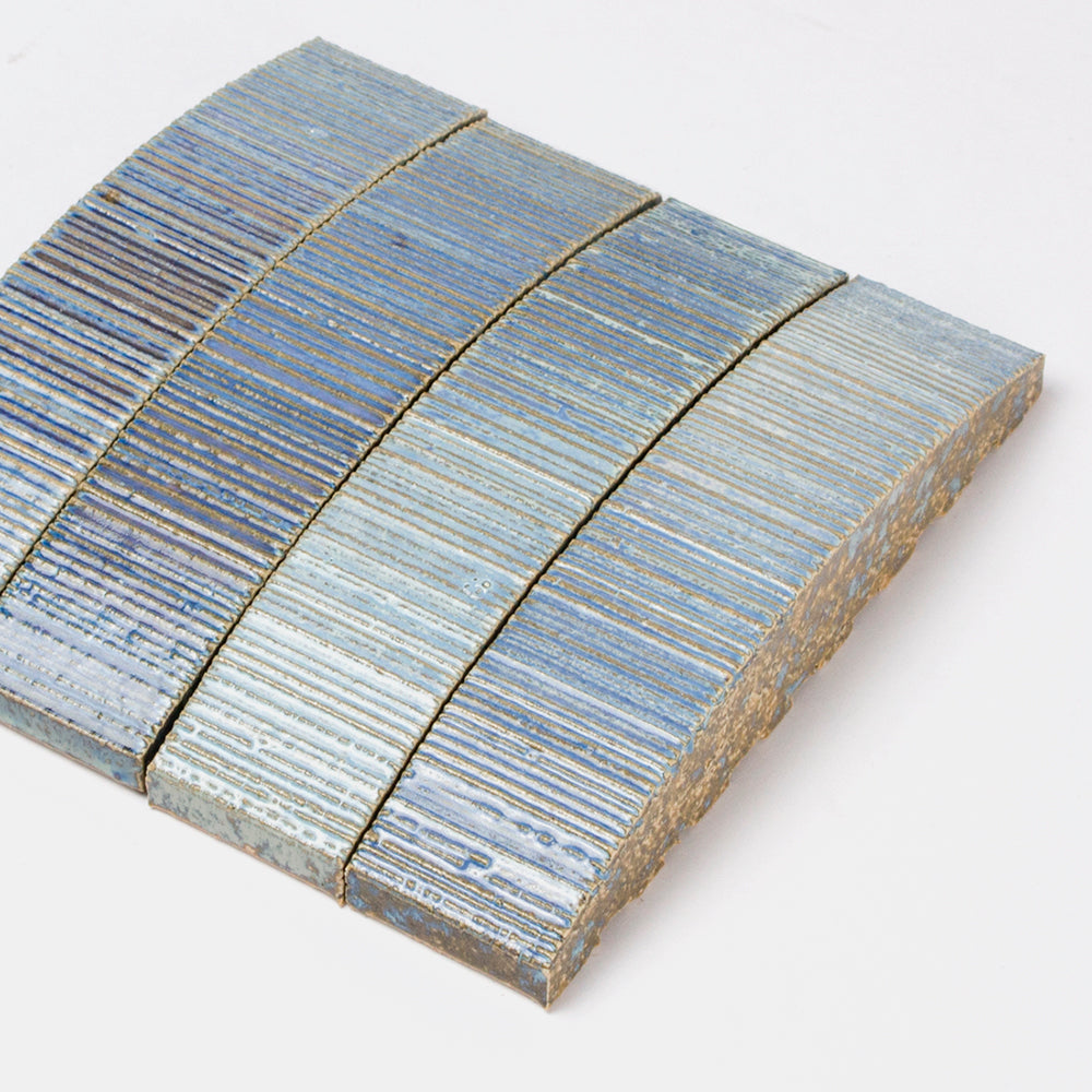 MS_010