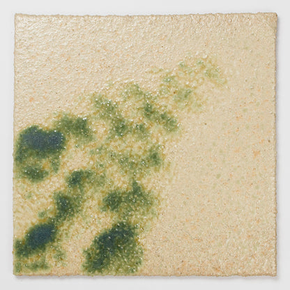 MS_001