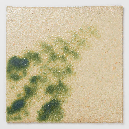 MS_001