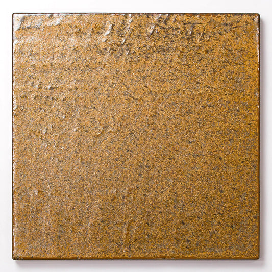 OH_028