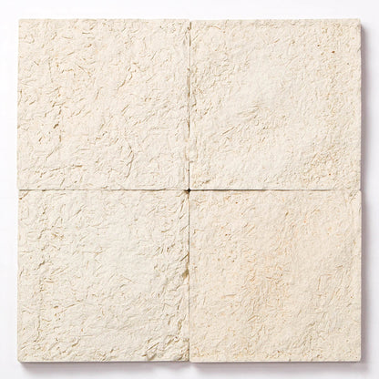 OH_049