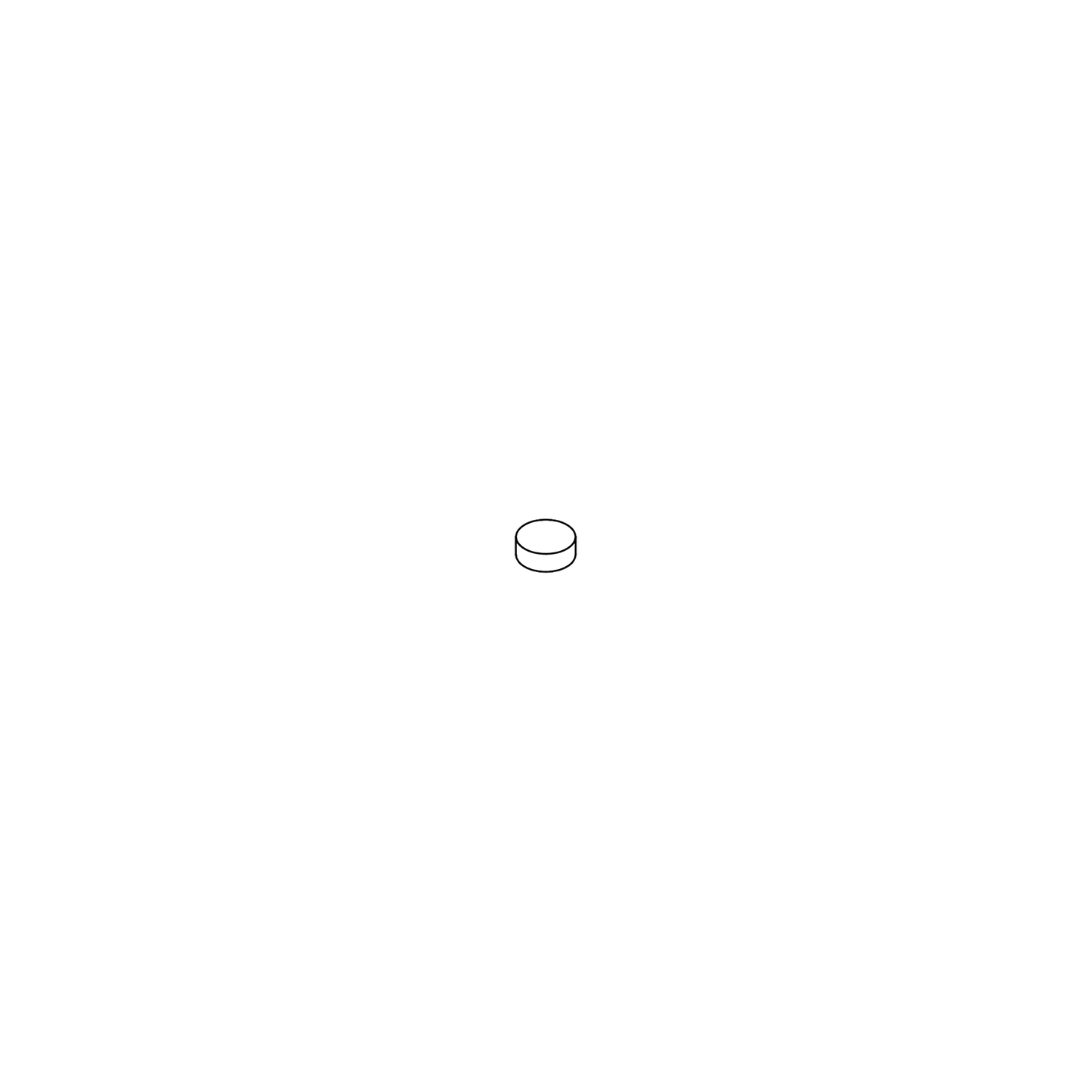 19Φ round